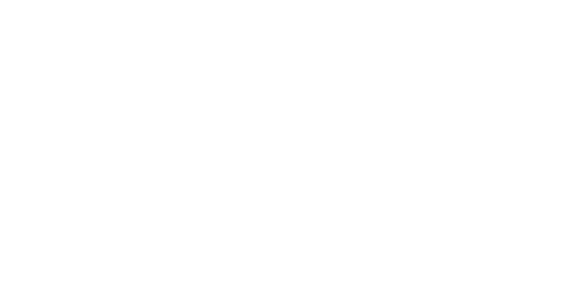 Peach Metals Logo